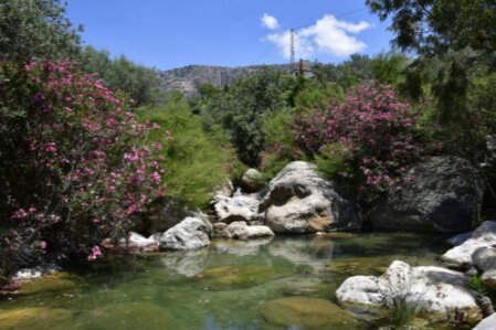 Deine Aromawoche in Spanien (Andalusien)